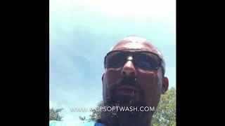NO Pressure Roof Cleaning