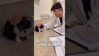 Pharmacology Lab - Experiments with Rabbits