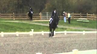 goucher college equestrian video