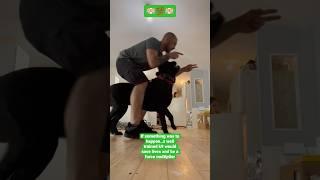 If the shit hits the fan…what happens to your k9? Center Heeling #shorts #dogtraining #canecorso