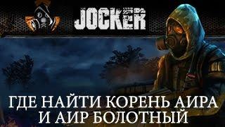 Stalker Online Где найти Корень Аира и Аир болотный