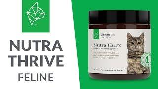 Nutra Thrive Feline | Ultimate Pet Nutrition