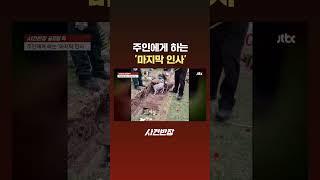 주인에게 하는 '마지막 인사' #JTBC #Shorts