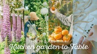 From kitchen garden to table: Spring/Summer - California Seasonal Cooking with backyard harvest