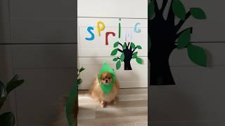 Spring now 