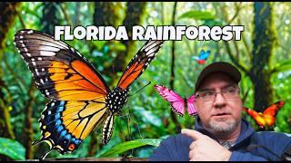 Butterfly Rainforest at Natural History Museum in Gainesville