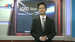 AGROPOLITAN NEWS EDISI 2 JANUARI 2024| ATV MALANG RAYA