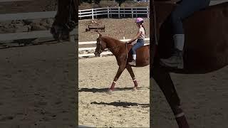 My first time riding bareback! #edit #horse #capcut #shorts #equestrian #horseedit #horseriding