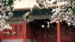 Chinese traditional architectural craftsmanship for timber-framed structures