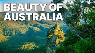 Beauty Of Australia | Nature Documentary