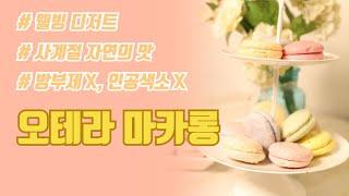사계절 한결같은 오테라 마카롱