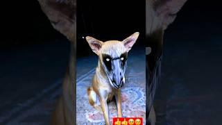 Bhoot Ki Reels Dekhne ki Side Effect Dekho  #shorts #trending #viral #youtubeshorts #bhoot #funny