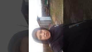 Обзор бабин двор  с сабакой