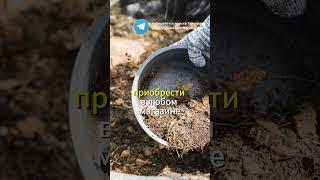 Компост для идеальной почвы: мой проверенный метод #дача #сад #огурцы