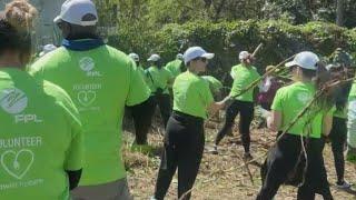 Volunteers clean up Camp Mahachee in Coral Gables