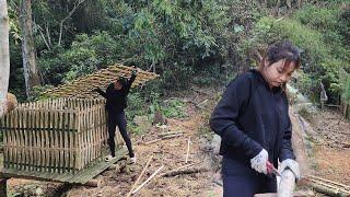 Build a bamboo chicken coop and spread the floor of the coop