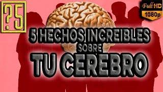 ¿Crees que te conoces? 5 Hechos Increíbles acerca de tu Cerebro que te dejarán con la boca abierta