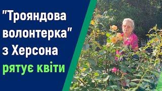  87-річна "трояндова" волонтерка рятує  квіти   в Херсоні незважаючи на обстріли