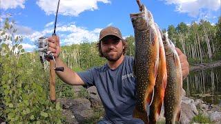 EXPLORING and FISHING Small Lakes in the MOUNTAINS!! (Catch & Cook)