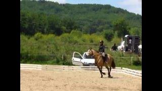 Aude et Sublime: Reprise de Dressage !