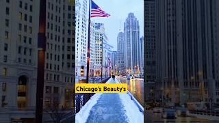 Is Chicago the most beautiful city in the USA? #beautiful #chicago #downtown #shortsvideo #shorts