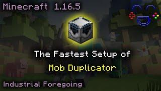 The Fastest Setup of Mob Duplicator Industrial Foregoing