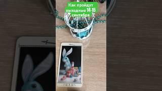 Как пройдут выходные для всех знаков зодиака #таро #tarot #таролог #relax #выходные #тароонлайн
