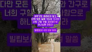 빌립보서 4장6절 말씀 #귀한말씀 #성경구절 #좋은글 #성경말씀 #지혜 #진리의말씀