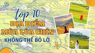 Top 10 Địa điểm ngắm ruộng bậc thang đẹp mê hồn nơi rẻo cao Tây Bắc | Tico Travel