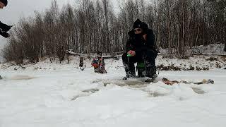 Подледная рыбалка: окунь на крючке - секреты успеха!