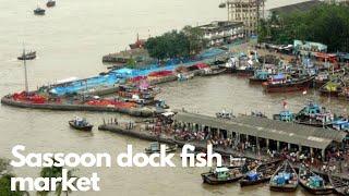 ससून डॉक फिश मार्केट | Sassoon dock fish market | Colaba fish market | #fishmarket