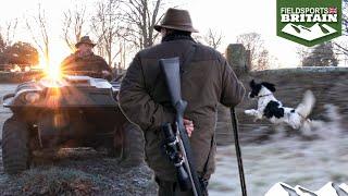 Deerstalking among the dogwalkers