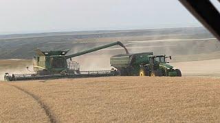 Day 1 (7/23) / 2024 Highwood, Montana Harvest