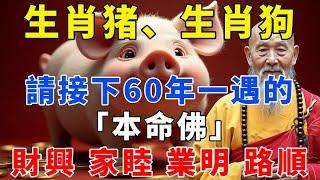 生肖豬、生肖狗！60年一遇的「本命佛」阿彌陀佛，快來接菩薩。接下財興、家睦、業明、路順【禪語明心】#生肖 #運勢 #風水 #財運  #生肖運勢 #生肖運程