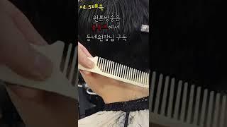 동네원장님 따라하면 남자댄디컷 뚝딱~