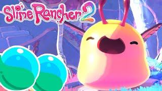 Getting a Lot of MoonDew Nectar For the Flutter Gordo - Slime Rancher 2