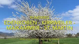 Rundweg Edenkoben - Kirrweiler - Maikammer - St. Martin