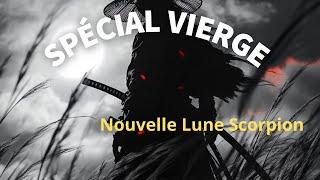 NL Scorpion, Spécial Vierge