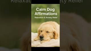 Dog Calming Affirmations with Relaxing Piano  | Soothe Anxiety in Seconds