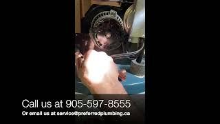 Preferred Plumbing Technicians make Piping Repairs and Valve Upgrades