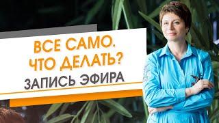 Все само. Что делать? Запись эфира | Елена Ачкасова