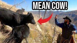 Herding Cattle on a STEEP Mountain! (GONE WRONG?!)