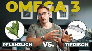 Pflanzliches vs. Tierisches Omega 3 (was ist besser?)