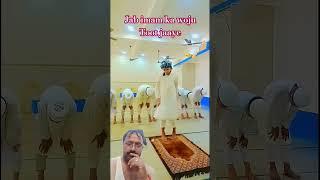 shahzad ansari 220vlog