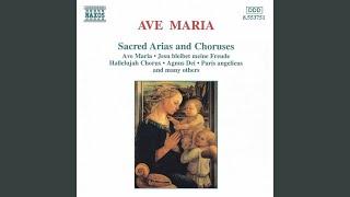 Herz und Mund und Tat und Leben, BWV 147: Chorale: Jesus bleibet meine Freude (Jesu, Joy of...