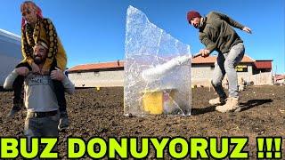 BİR ANDA BUZ KESTİK !!! DONUYORUZ~BUZ GİBİ HAVADA DÜĞÜN~SON TARLA ÇABALARI~KOYUN