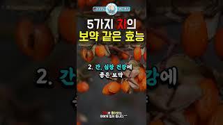 5가지 차의 보약 같은 효능 #건강동기부여 #인생조언 #삶의지혜