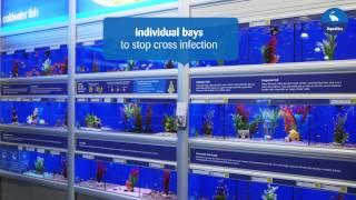 Making our pets at home -- Aquatics