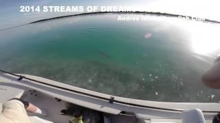 Streams of Dreams 2014 Bonefish Trip Jon Huff 60+ lbs Tarpon on Thomas and Thomas Solar 10 Wt