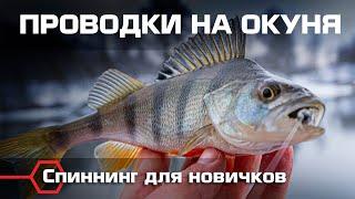 Как ловить окуня по холодной воде? Лучшие зимние проводки и анимации приманки.